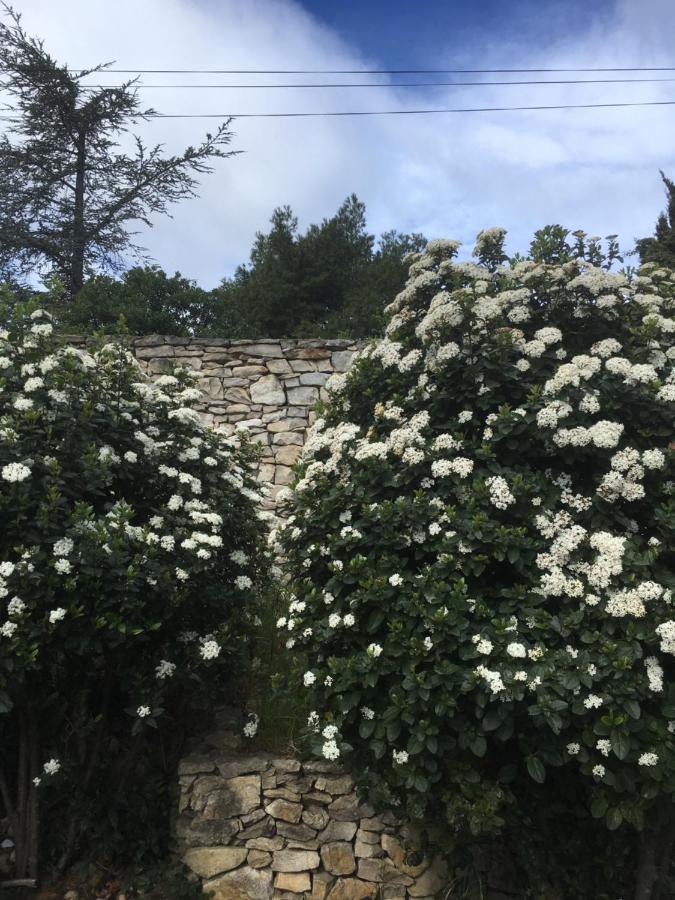 La Chambre Haute Nîmes Exteriör bild